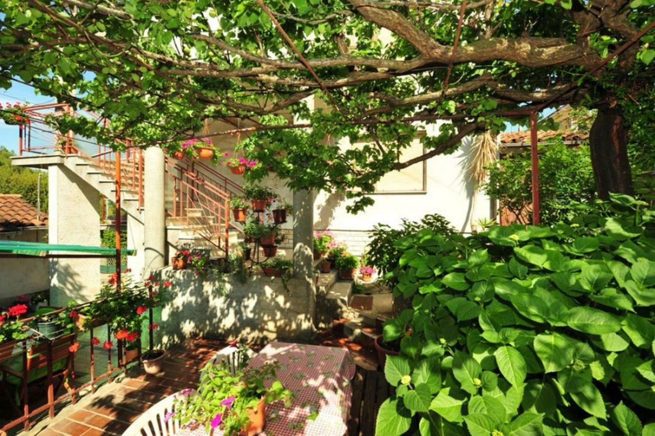 Apartment Patricia Rovinj Exterior photo